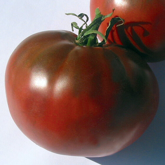 HEIRLOOM-TOMATO-carbon_Ibsen