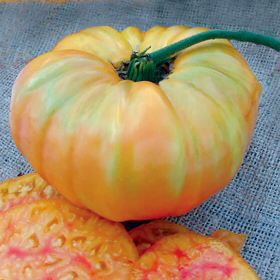 HEIRLOOM-TOMATO-pineapple