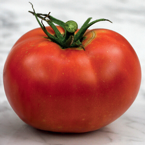 HEIRLOOM-TOMATO-rose-de-berne