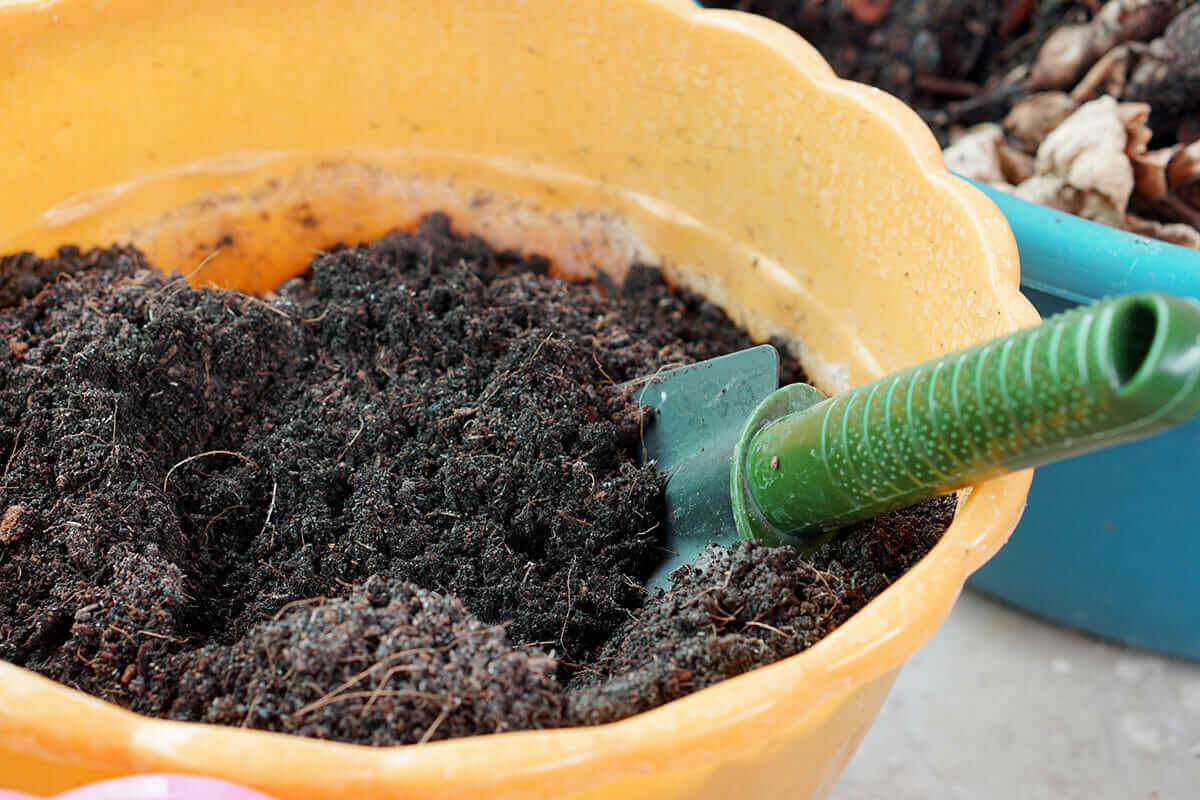 potting soil mix in a container