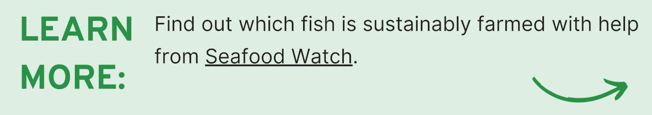 Learn More: Find out which fish is sustainably farmed with help from Seafood Watch.