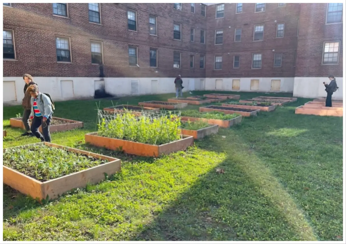 People walking through an urban garden.